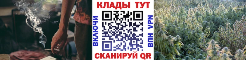 Купить наркотики Волхов МАРИХУАНА  Cocaine  Меф мяу мяу 