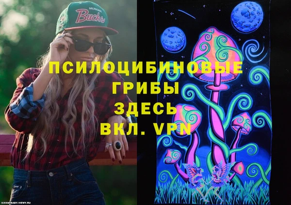 PSILOCYBIN Новодвинск